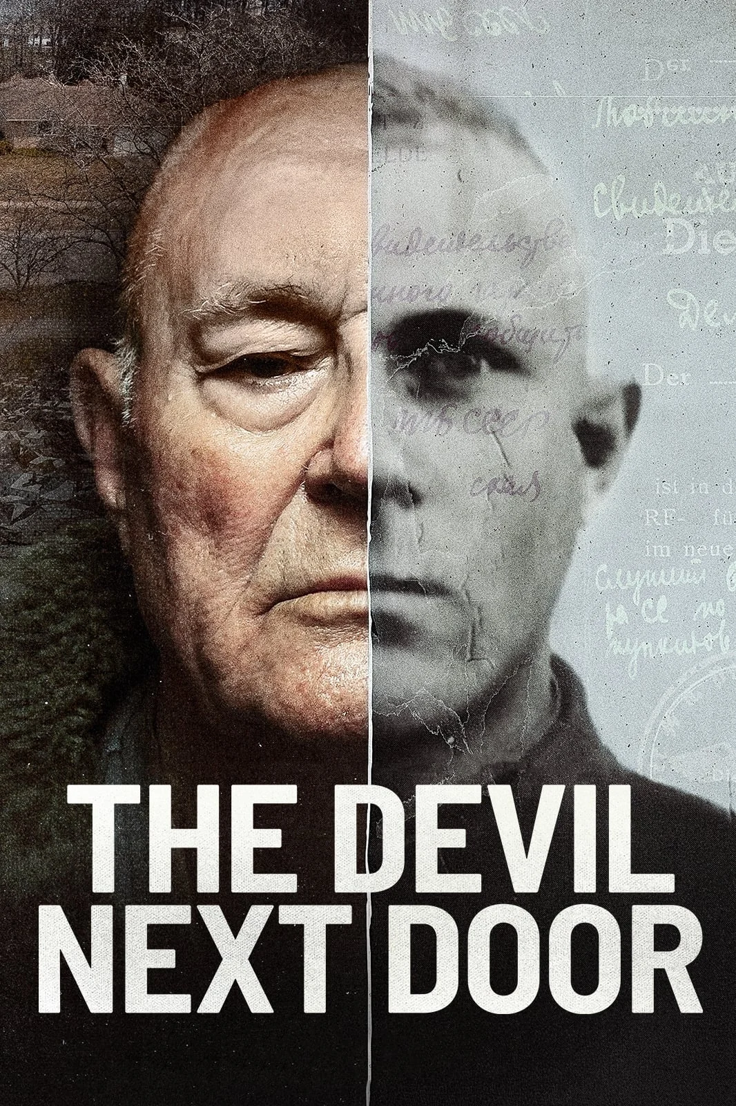 Ác quỷ nhà kế bên - The Devil Next Door (2019)